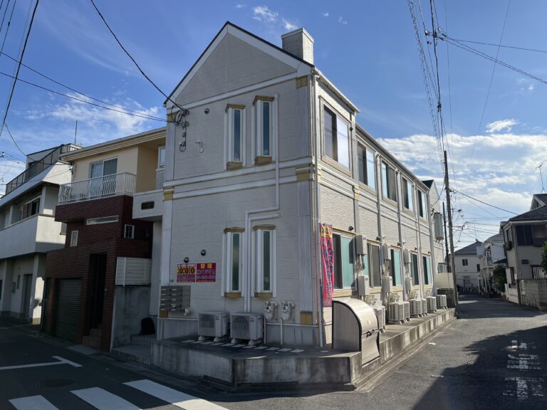 ソフィア オリーブ